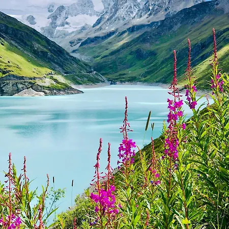 Hautes Roches - Magnifique Vue Sur La Montagne * Кран-Монтана